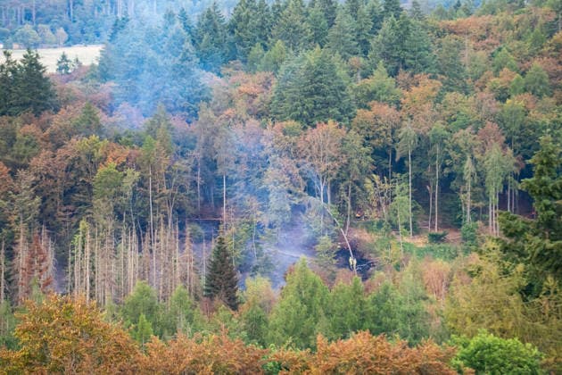 Mehr als 20.000 Quadratmeter Wald in Brand 150 Einsatzkräfte bei Hitze im Großeinsatz In einem Waldgebiet zwischen Bad Schwalbach-Hettenhain und Taunusstein-Seitzenhahn brach am 05.08.2026 gegen 13:20 Uhr ein Waldbrand aus. Ein Fichtenbestand stand beim Eintreffen der Einsatzkräfte bis in die Baumkronen in Flammen, Wind sorgte für eine schnelle Ausbreitung auf über 20.000 Quadratmeter. Der größte Brandbereich war zu diesem Zeitpunkt weitgehend eingedämmt, galt jedoch weiterhin nicht als unter Kontrolle, da Wind und Funkenflug neue Spotfeuer entstehen ließen. Rund 150 Einsatzkräfte aus dem Rheingau-Taunus-Kreis und aus Wiesbaden waren im Einsatz, eine Einsatzkraft wurde leicht verletzt. Bad Schwalbach Hessen Deutschland *** Mo