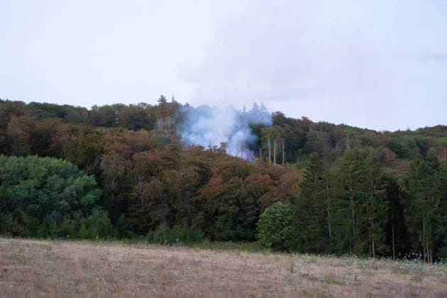 Mehr als 20.000 Quadratmeter Wald in Brand 150 Einsatzkräfte bei Hitze im Großeinsatz In einem Waldgebiet zwischen Bad Schwalbach-Hettenhain und Taunusstein-Seitzenhahn brach am 05.08.2026 gegen 13:20 Uhr ein Waldbrand aus. Ein Fichtenbestand stand beim Eintreffen der Einsatzkräfte bis in die Baumkronen in Flammen, Wind sorgte für eine schnelle Ausbreitung auf über 20.000 Quadratmeter. Der größte Brandbereich war zu diesem Zeitpunkt weitgehend eingedämmt, galt jedoch weiterhin nicht als unter Kontrolle, da Wind und Funkenflug neue Spotfeuer entstehen ließen. Rund 150 Einsatzkräfte aus dem Rheingau-Taunus-Kreis und aus Wiesbaden waren im Einsatz, eine Einsatzkraft wurde leicht verletzt. Bad Schwalbach Hessen Deutschland *** Mo