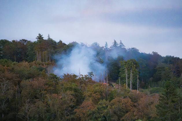 Mehr als 20.000 Quadratmeter Wald in Brand 150 Einsatzkräfte bei Hitze im Großeinsatz In einem Waldgebiet zwischen Bad Schwalbach-Hettenhain und Taunusstein-Seitzenhahn brach am 05.08.2026 gegen 13:20 Uhr ein Waldbrand aus. Ein Fichtenbestand stand beim Eintreffen der Einsatzkräfte bis in die Baumkronen in Flammen, Wind sorgte für eine schnelle Ausbreitung auf über 20.000 Quadratmeter. Der größte Brandbereich war zu diesem Zeitpunkt weitgehend eingedämmt, galt jedoch weiterhin nicht als unter Kontrolle, da Wind und Funkenflug neue Spotfeuer entstehen ließen. Rund 150 Einsatzkräfte aus dem Rheingau-Taunus-Kreis und aus Wiesbaden waren im Einsatz, eine Einsatzkraft wurde leicht verletzt. Bad Schwalbach Hessen Deutschland *** Mo