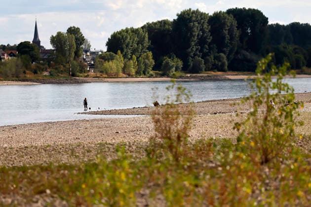 Der Rheinpegel ist in Köln und Bonn auf einem Rekordtief. Viele Rheinwiesen sind verdorrt und versteppt und der sonst so stolze Fluss hat sich tief in sein Bett zurückgezogen, gibt den Blick auf trockene Ufer frei. Der Pegel lag am Wochenende mit 67 cm so tief wie noch nie seit der Messung. (Themenbild, Symbolbild) Köln, 05.08.2026 NRW Deutschland *** The Rhine’s water level in Cologne and Bonn is at a record low. Many of the Rhine’s floodplains have dried up and turned into scrubland, and the river—usually so mighty—has receded deep into its bed, revealing dry banks. At 67 cm over the weekend, the water level was lower than it has ever been since records began. Featured image, stock photo: Cologne, August 5, 2026, North Rhine-Westphalia Copyright: xChristophxHardtx