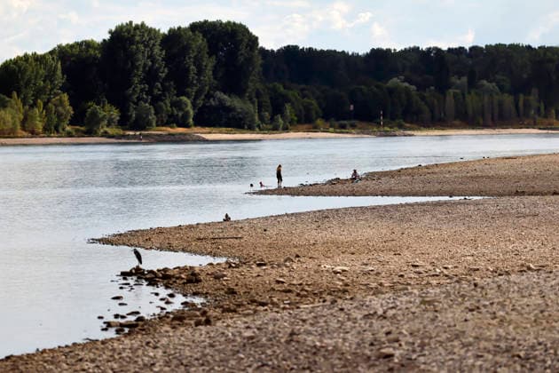 Der Rheinpegel ist in Köln und Bonn auf einem Rekordtief. Viele Rheinwiesen sind verdorrt und versteppt und der sonst so stolze Fluss hat sich tief in sein Bett zurückgezogen, gibt den Blick auf trockene Ufer frei. Der Pegel lag am Wochenende mit 67 cm so tief wie noch nie seit der Messung. (Themenbild, Symbolbild) Köln, 05.08.2026 NRW Deutschland *** The Rhine’s water level in Cologne and Bonn is at a record low. Many of the Rhine’s floodplains have dried up and turned into scrubland, and the river—usually so mighty—has receded deep into its bed, revealing dry banks. At 67 cm over the weekend, the water level was lower than it has ever been since records began. Featured image, stock photo: Cologne, August 5, 2026, North Rhine-Westphalia Copyright: xChristophxHardtx