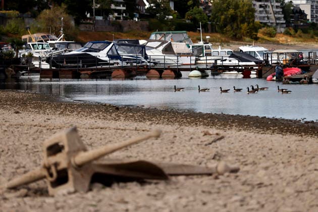 Yachten und Enten schwimmen in dem stark zurückgegangenen Flussbett des Rhein in Höhe Sürth - im Vordergrund ein Anker auf dem Trockenen. Der Rheinpegel ist in Köln und Bonn auf einem Rekordtief. Viele Rheinwiesen sind verdorrt und versteppt und der sonst so stolze Fluss hat sich tief in sein Bett zurückgezogen, gibt den Blick auf trockene Ufer frei. Der Pegel lag am Wochenende mit 67 cm so tief wie noch nie seit der Messung. (Themenbild, Symbolbild) Köln, 05.08.2026 NRW Deutschland *** Yachts and ducks float in the greatly receded riverbed of the Rhine near Sürth; in the foreground, an anchor lies on dry land. The Rhine’s water level in Cologne and Bonn is at a record low. Many Rhine meadows have withered and turned into steppe, and Copyright: xChristophxHardtx
