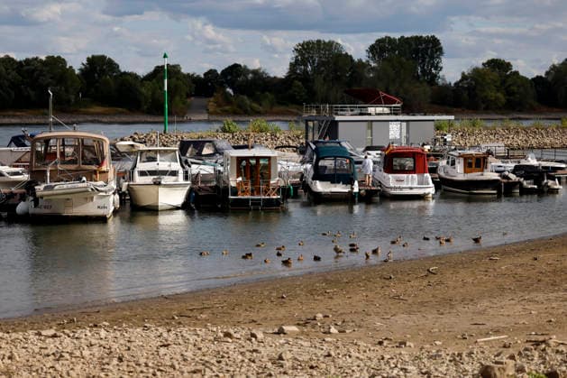 Yachten und Enten schwimmen in dem stark zurückgegangenen Flussbett des Rhein in Höhe Sürth. Der Rheinpegel ist in Köln und Bonn auf einem Rekordtief. Viele Rheinwiesen sind verdorrt und versteppt und der sonst so stolze Fluss hat sich tief in sein Bett zurückgezogen, gibt den Blick auf trockene Ufer frei. Der Pegel lag am Wochenende mit 67 cm so tief wie noch nie seit der Messung. (Themenbild, Symbolbild) Köln, 05.08.2026 NRW Deutschland *** Yachts and ducks float in the greatly reduced riverbed of the Rhine near Sürth. The Rhine’s water level in Cologne and Bonn is at a record low. Many of the Rhine’s floodplains have dried up and turned into scrubland, and the once-mighty river has retreated deep into its bed, revealing dry banks. Copyright: xChristophxHardtx