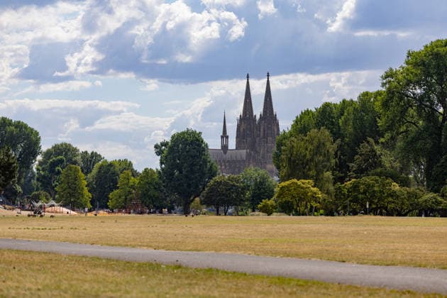 Vertrocknete Wiesen im Rheinpark vor dem Kölner Dom Blick vom Rheinpark in Köln-Deutz auf den Kölner Dom: Anhaltende Hitze und Trockenheit lassen die Wiesen des 1957 zur Bundesgartenschau angelegten Parks vertrocknen, Spaziergänger nutzen die Grünanlage dennoch für einen Ausflug. Köln Rheinpark Nordrhein-Westfalen Deutschland *** Parched meadows in the Rheinpark in front of Cologne Cathedral; view of Cologne Cathedral from the Rheinpark in Cologne-Deutz; persistent heat and drought are causing the meadows of the park—which was created in 1957 for the Federal Horticultural Show—to dry up, but walkers are still using the park for a stroll Cologne Rheinpark North Rhine-Westphalia Germany Copyright: xMarcxJohnx