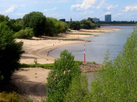 die Bunen strecken sich vergebens nach dem Rheinstrom aus - er ist weit zurueck gewichen - Tendenz weiter steigend Rheinbogen rechtsrheinisch Duesseldorf Niedrigwasser *** The sandbars stretch in vain toward the Rhine; the river has receded far back, and the trend is still rising. Rhine bend on the right bank of the Rhine, Düsseldorf, low water