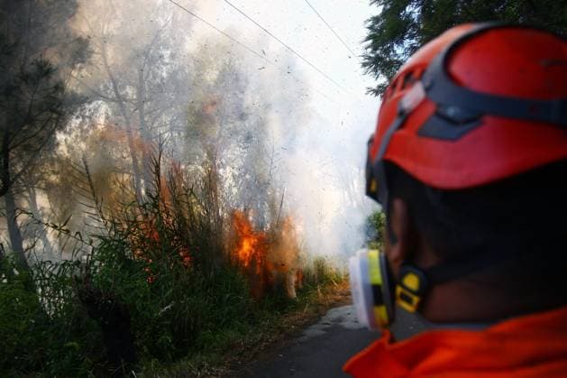 Forest Fire in Bromo Tengger Semeru National Park, Indonesia EAST JAVA, INDONESIA AUGUST 6, 2026: Firefighters battle a wildfire in Bromo Tengger Semeru National Park, East Java, Indonesia, on August 6, 2026. The fire, which broke out on August 3, has spread across approximately 70 hectares, as authorities continue efforts to contain the blaze and prevent it from spreading further. East Java Indonesia Copyright: x xHayuxYudhaxPrabowox xJNAxPressx