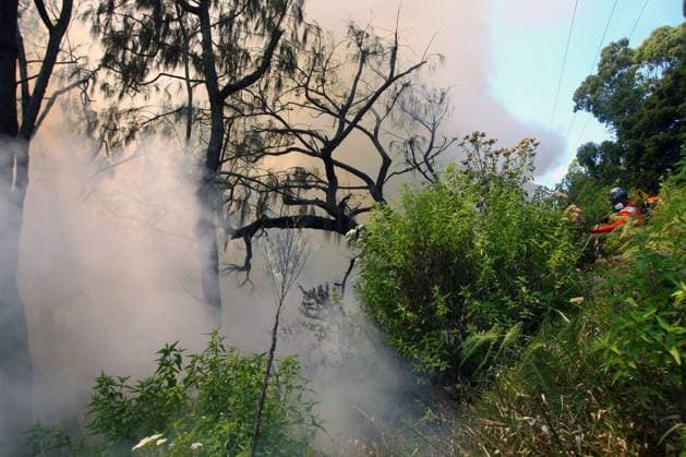 Forest Fire in Bromo Tengger Semeru National Park, Indonesia EAST JAVA, INDONESIA AUGUST 6, 2026: Firefighters battle a wildfire in Bromo Tengger Semeru National Park, East Java, Indonesia, on August 6, 2026. The fire, which broke out on August 3, has spread across approximately 70 hectares, as authorities continue efforts to contain the blaze and prevent it from spreading further. East Java Indonesia Copyright: x xHayuxYudhaxPrabowox xJNAxPressx