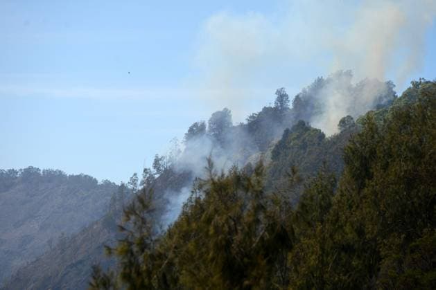 Forest Fire in Bromo Tengger Semeru National Park, Indonesia EAST JAVA, INDONESIA AUGUST 6, 2026: Firefighters battle a wildfire in Bromo Tengger Semeru National Park, East Java, Indonesia, on August 6, 2026. The fire, which broke out on August 3, has spread across approximately 70 hectares, as authorities continue efforts to contain the blaze and prevent it from spreading further. East Java Indonesia Copyright: x xHayuxYudhaxPrabowox xJNAxPressx