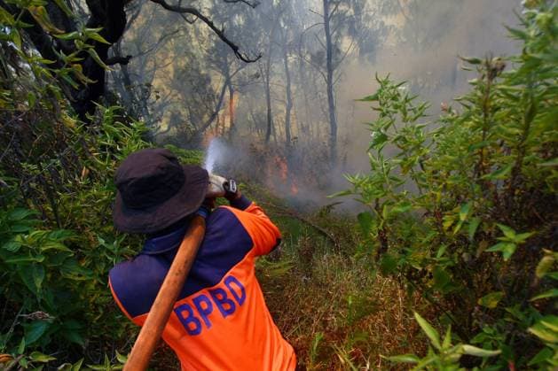 Forest Fire in Bromo Tengger Semeru National Park, Indonesia EAST JAVA, INDONESIA AUGUST 6, 2026: Firefighters battle a wildfire in Bromo Tengger Semeru National Park, East Java, Indonesia, on August 6, 2026. The fire, which broke out on August 3, has spread across approximately 70 hectares, as authorities continue efforts to contain the blaze and prevent it from spreading further. East Java Indonesia Copyright: x xHayuxYudhaxPrabowox xJNAxPressx
