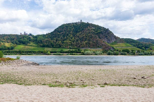 Historisches Niedrigwasser: Pegel Oberwinter fällt auf 1 cm Blick von Bonn-Mehlem auf den Drachenfels (Mitte) und Drachenburg (links) und der Große Oelberg (rechts) im Siebengebirge: Im Vordergrund liegt das weitgehend ausgetrocknete Flussbett des Rheins bei historischem Niedrigwasser der Pegel Oberwinter fällt auf nur noch 1 cm, der Pegel Bonn liegt bei 76 cm. Anhaltende Trockenheit lässt den Rhein weiter sinken, die Rheinschifffahrt ist stark eingeschränkt. Bonn Mehlem Nordrhein-Westfalen Deutschland *** Historically low water levels: The Oberwinter gauge drops to 1 cm. View from Bonn Mehlem toward the Drachenfels in the center, Drachenburg on the left, and the Großer Oelberg on the right in the Siebengebirge. In the foreground l Copyright: xMarcxJohnx