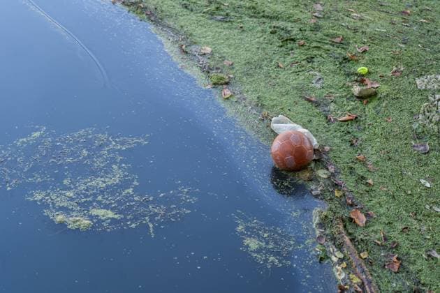 August 6, 2026, Turin, To, Italy: A balloon emerges from the dry Po River, Turin, 06 08 2026. Turin Italy  - ZUMAa289 20260806_zia_a289_010 Copyright: xSelenexDanielex xAgfx