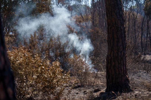 Forest Fire Reported in Lucena del Puerto, Huelva Areas Affected by the Forest Fire in the Municipality of Lucena del Puerto, Huelva As of August 6, 2026, in Lucena del Puerto, Huelva, Andalusia, Spain. About thirty firefighters from the Infoca Plan worked through the early hours of Thursday, August 6, to combat the wildfire that broke out on the afternoon of Wednesday, August 5, in the Santa Catalina area of the municipality of Lucena del Puerto, Huelva, which is affecting an area of pine forest and scrubland. AUGUST 6, 2026 Francisco J Lucena del Puerto, Huelva, Andalusia Lucena del Puerto, Huelva, Andalusia, Spain  Copyright: xFranciscoxJ.xOlmox 7703608