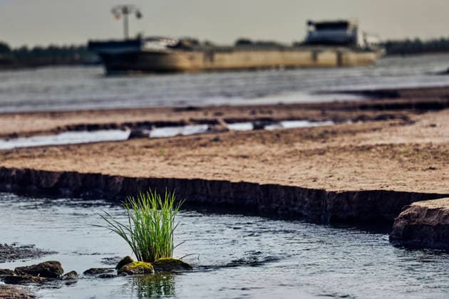 August 6, 2026, Nijmegen, Gelderland, Netherlands: A lone plant grows from the cracked and exposed riverbed of the WAAL near OOIJ, while a cargo barge sails in the distance. Prolonged drought has reduced water levels on this main Dutch branch of the RHINE to historic lows, forcing inland vessels to operate with sharply reduced loads and driving up transport costs. Credit : ZUMA Press Nijmegen Netherlands - ZUMAv145 20260806_zip_v145_008 Copyright: xNorbertxVoskensx