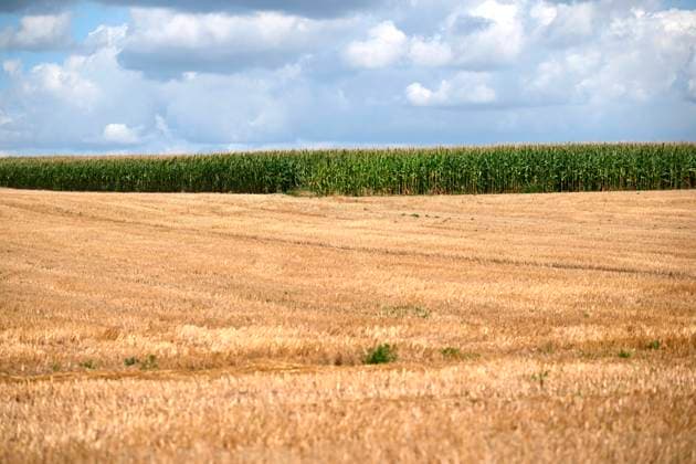 Drought in Flemish Brabant FLEMISH BRABANT, BELGIUM - AUGUST 06 : Drought in Flemish Brabant on August 6, 2026 in Flemish Brabant, Belgium, 06 08 2026 Flemish Brabant Belgium  Copyright: xDidierxLebrunx