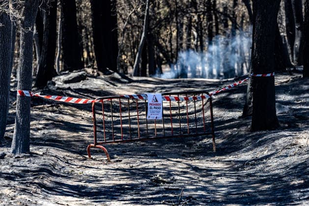 News Bilder des Tages Reconstruction of Casavieja, Ávila, Following the Burgohondo Fire Facilities at the Fuente Helecha campground damaged by the fire, August 6, 2026, in Casavieja, Ávila, Castile and León, Spain. Casavieja was one of the municipalities affected by the flames during the Burgohondo wildfire, which broke out on July 22 and became the largest wildfire in Spanish history after burning more than 55,000 hectares when it merged with the fire in the Sierra Oeste of Madrid. Now that the fire has been extinguished, residents of the area are working on reconstruction to return to normalcy as soon as possible. AUGUST 6, 2026 RECONSTRUCTION FOREST FIRE Casavieja, ÃÁvila, Castile and León Casavieja, Ávila, Castile and León Spain  Copyright: xRicardoxRubiox 7703961
