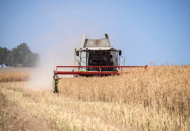 Nürnberg: Mähdrusch auf dem Feld. - Ein Landwirt erntet mit seinem Mähdrescher vom Typ Claas Tucano an einem sonnigen Sommertag ein großes Rapsfeld bei Burghaslach in Franken (Bayern) ab. Die gewonnenen Körner werden bis zum regelmäßgen Entleeren in einem Korntank gesammelt. Nicht benötigtes Häckselgut und Pflanzenreste pustet die Maschine nach hinten als Düngung aus. Für die Ernte stehen in heißen Sommern oft nur wenige Tage zur Verfügung. Nürnberg Bayern Deutschland *** Nuremberg: Combine Harvester in the Field On a sunny summer day, a farmer is harvesting a large rapeseed field near Burghaslach in Franconia, Bavaria, with his Claas Tucano combine harvester. The harvested grains are collected in a grain tank until it is em
