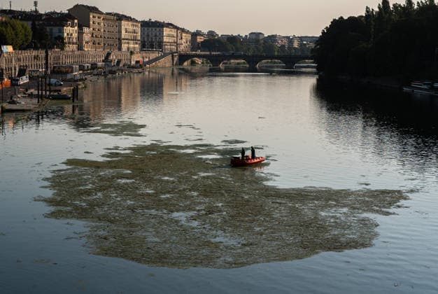 IPA87281584 - Turin. The Po River is feeling the effects of weeks of intense heat and drought: the river™s water level has dropped significantly, and where the current slows, algae and invasive plant species find fertile ground to spread.  Copyright: xRiccardoxGIordanox xRiccardoxGiordanox 87281584