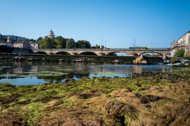 IPA87281696 - Turin. The Po River is feeling the effects of weeks of intense heat and drought: the river™s water level has dropped significantly, and where the current slows, algae and invasive plant species find fertile ground to spread.  Copyright: xRiccardoxGIordanox xRiccardoxGiordanox 87281696