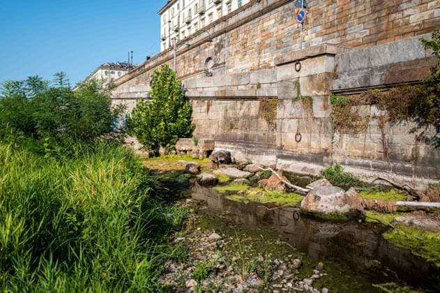 IPA87281702 - Turin. The Po River is feeling the effects of weeks of intense heat and drought: the river™s water level has dropped significantly, and where the current slows down, algae and invasive plant species find fertile ground to spread.  Copyright: xRiccardoxGIordanox xRiccardoxGiordanox 87281702