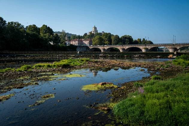 News Bilder des Tages IPA87281709 - Turin. The Po River is feeling the effects of weeks of intense heat and drought: the river™s water level has dropped significantly, and where the current slows, algae and invasive plant species find fertile ground to spread.  Copyright: xRiccardoxGIordanox xRiccardoxGiordanox 87281709
