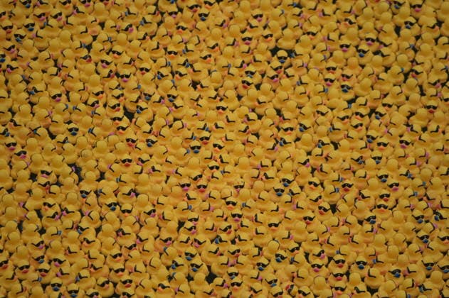 Chicago Ducky derby marks 21st anniversary CHICAGO, ILLINOIS, UNITED STATES - AUGUST 6: Thousands of rubber ducks race down the Chicago River during the 21st annual Chicago Ducky Derby in Chicago, Illinois, United States, on August 6, 2026. The annual event raised funds for Special Olympics Illinois and attracted large crowds as participants and spectators gathered along the river to mark the 21st edition of the charity race. Jacek Boczarski Anadolu Chicago United States. Editorial use only. Please get in touch for any other usage.  Copyright: x2026xAnadoluxJacekxBoczarskix