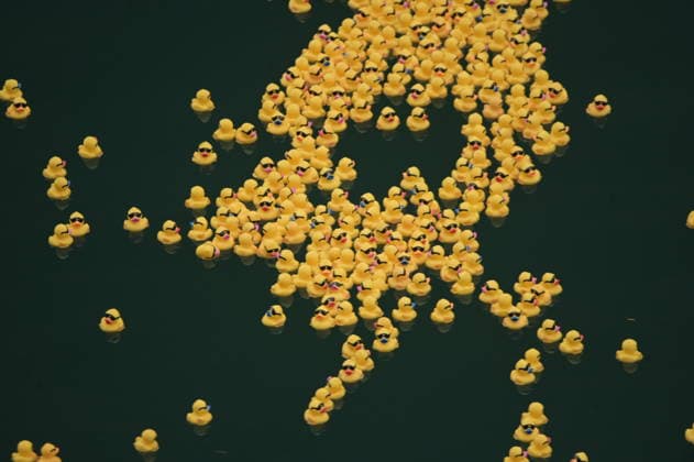 News Bilder des Tages Chicago Ducky derby marks 21st anniversary CHICAGO, ILLINOIS, UNITED STATES - AUGUST 6: Thousands of rubber ducks race down the Chicago River during the 21st annual Chicago Ducky Derby in Chicago, Illinois, United States, on August 6, 2026. The annual event raised funds for Special Olympics Illinois and attracted large crowds as participants and spectators gathered along the river to mark the 21st edition of the charity race. Jacek Boczarski Anadolu Chicago United States. Editorial use only. Please get in touch for any other usage.  Copyright: x2026xAnadoluxJacekxBoczarskix