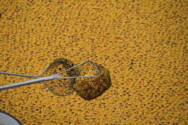 Chicago Ducky derby marks 21st anniversary CHICAGO, ILLINOIS, UNITED STATES - AUGUST 6: Thousands of rubber ducks race down the Chicago River during the 21st annual Chicago Ducky Derby in Chicago, Illinois, United States, on August 6, 2026. The annual event raised funds for Special Olympics Illinois and attracted large crowds as participants and spectators gathered along the river to mark the 21st edition of the charity race. Jacek Boczarski Anadolu Chicago United States. Editorial use only. Please get in touch for any other usage.  Copyright: x2026xAnadoluxJacekxBoczarskix