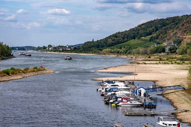 Niedrigwasser im Rhein, Sportboothafen, an der Insel Grafenwerth, an einem toten Nebenarm des Rhein, große Sandbänke, kaum Schiffsverkehr, Frachter dürfen nur mit stark reduzierter Ladung und verringerter Geschwindigkeit fahren, NRW, Deutschland, Rhein Niedrigwasser *** Low water levels in the Rhine, recreational boat harbor, near Grafenwerth Island, on a dead arm of the Rhine, large sandbars, hardly any boat traffic, freighters are only allowed to sail with a significantly reduced cargo and at reduced speed, North Rhine-Westphalia, Germany, Rhine low water levels