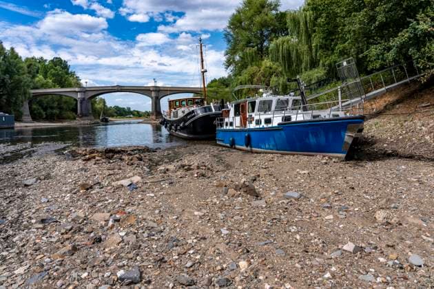 Niedrigwasser im Rhein, Motorboote im Sportboothafen in Bad Honnef, iegen auf Grund, liegen trocken, an der Insel Grafenwerth, an einem toten Nebenarm, große Sandbänke, kaum Schiffsverkehr, Frachter dürfen nur mit stark reduzierter Ladung und verringerter Geschwindigkeit fahren, NRW, Deutschland, Rhein Niedrigwasser *** Low water levels in the Rhine; motorboats in the recreational marina in Bad Honnef are aground and sitting on dry land; near Grafenwerth Island, in a dead arm of the river, there are large sandbars and hardly any boat traffic; freighters are only allowed to sail with a significantly reduced cargo and at reduced speed, North Rhine-Westphalia, Germany, Rhine low water