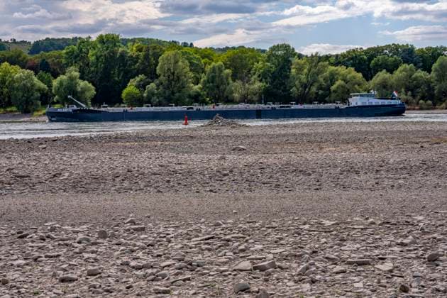 Niedrigwasser im Rhein, Sandbänke, am rechtsrheinischen Ufer bei Bad Honnef, kaum Schiffsverkehr, Frachter dürfen nur mit stark reduzierter Ladung und verringerter Geschwindigkeit fahren, NRW, Deutschland, Rhein Niedrigwasser *** Low water levels in the Rhine, sandbars, on the right bank of the Rhine near Bad Honnef, hardly any boat traffic; freighters are only allowed to sail with significantly reduced cargo and at reduced speed, North Rhine-Westphalia, Germany, Rhine low water levels
