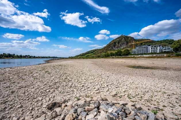 Niedrigwasser im Rhein, trocken gefallenes Flussbett, Sandbänke, am rechtsrheinischen Ufer bei Bad Honnef, kaum Schiffsverkehr, Frachter dürfen nur mit stark reduzierter Ladung und verringerter Geschwindigkeit fahren, Wohnanlage in Rhöndorf, Drachenfels, NRW, Deutschland, Rhein Niedrigwasser *** Low water levels in the Rhine, a dry riverbed, sandbars, on the right bank of the Rhine near Bad Honnef, hardly any boat traffic, freighters are only allowed to sail with a significantly reduced cargo and at reduced speed, residential complex in Rhöndorf, Drachenfels, North Rhine-Westphalia, Germany, Rhine low water levels