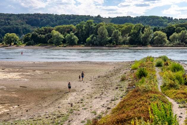 Niedrigwasser im Rhein, Sandbänke, am rechtsrheinischen Ufer bei Bad Honnef, kaum Schiffsverkehr, Frachter dürfen nur mit stark reduzierter Ladung und verringerter Geschwindigkeit fahren, NRW, Deutschland, Rhein Niedrigwasser *** Low water levels in the Rhine, sandbars, on the right bank of the Rhine near Bad Honnef, hardly any boat traffic; freighters are only allowed to sail with significantly reduced cargo and at reduced speed, North Rhine-Westphalia, Germany, Rhine low water levels