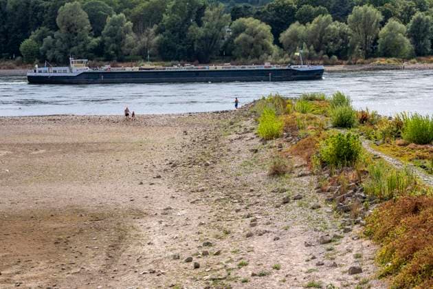 Niedrigwasser im Rhein, Sandbänke, am rechtsrheinischen Ufer bei Bad Honnef, kaum Schiffsverkehr, Frachter dürfen nur mit stark reduzierter Ladung und verringerter Geschwindigkeit fahren, NRW, Deutschland, Rhein Niedrigwasser *** Low water levels in the Rhine, sandbars, on the right bank of the Rhine near Bad Honnef, hardly any boat traffic; freighters are only allowed to sail with significantly reduced cargo and at reduced speed, North Rhine-Westphalia, Germany, Rhine low water levels