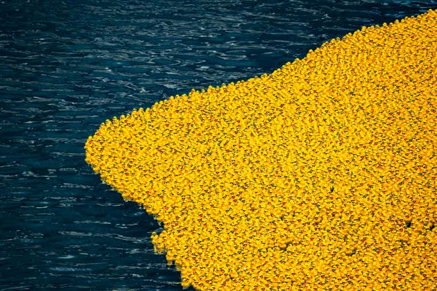 August 6, 2026, Chicago, Illinois, USA: 2026 Chicago Ducky Derby to benefit Special Olimpics. More than 90,000 rubber ducks were dumped into the Chicago River and later collected by the volunteers. Chicago USA - ZUMAk205 20260806_zmp_k205_033 Copyright: xSandraxKozintsevax