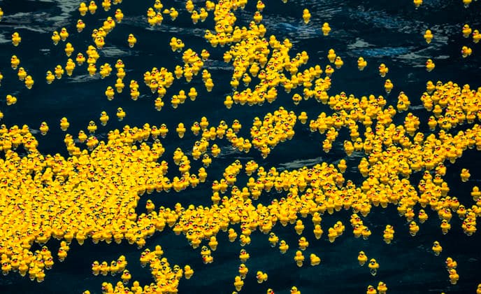 August 6, 2026, Chicago, Illinois, USA: 2026 Chicago Ducky Derby to benefit Special Olimpics. More than 90,000 rubber ducks were dumped into the Chicago River and later collected by the volunteers. Chicago USA - ZUMAk205 20260806_zmp_k205_037 Copyright: xSandraxKozintsevax