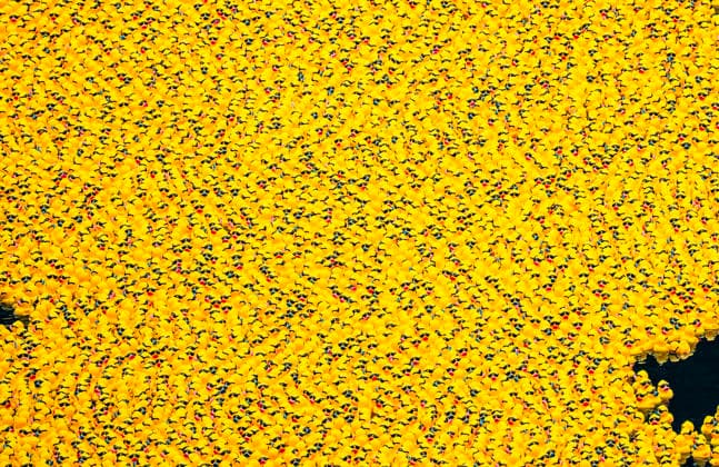 August 6, 2026, Chicago, Illinois, USA: 2026 Chicago Ducky Derby to benefit Special Olimpics. More than 90,000 rubber ducks were dumped into the Chicago River and later collected by the volunteers. Chicago USA - ZUMAk205 20260806_zmp_k205_038 Copyright: xSandraxKozintsevax