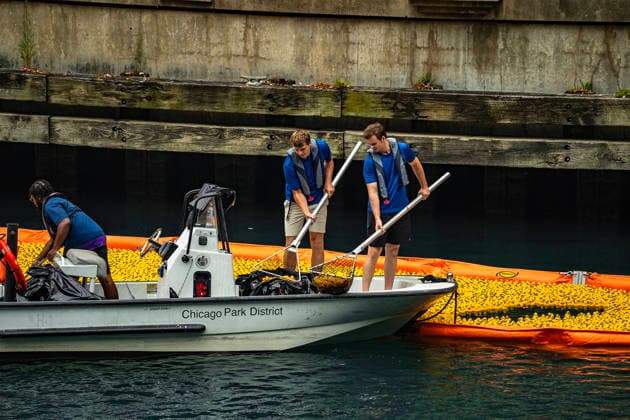 August 6, 2026, Chicago, Illinois, USA: 2026 Chicago Ducky Derby to benefit Special Olimpics. More than 90,000 rubber ducks were dumped into the Chicago River and later collected by the volunteers. Chicago USA - ZUMAk205 20260806_zmp_k205_061 Copyright: xSandraxKozintsevax