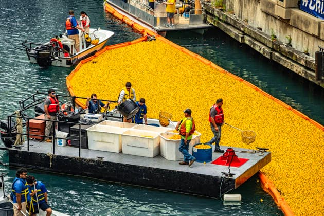 August 6, 2026, Chicago, Illinois, USA: 2026 Chicago Ducky Derby to benefit Special Olimpics. More than 90,000 rubber ducks were dumped into the Chicago River and later collected by the volunteers. Chicago USA - ZUMAk205 20260806_zmp_k205_062 Copyright: xSandraxKozintsevax