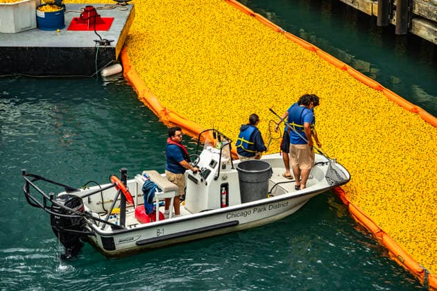 August 6, 2026, Chicago, Illinois, USA: 2026 Chicago Ducky Derby to benefit Special Olimpics. More than 90,000 rubber ducks were dumped into the Chicago River and later collected by the volunteers. Chicago USA - ZUMAk205 20260806_zmp_k205_065 Copyright: xSandraxKozintsevax