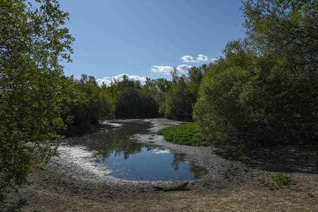 Drought affects ponds in London parks LONDON, UNITED KINGDOM - AUGUST 7: An aerial view shows reduced water levels at Seven Islands Pond in Mitcham Common amid hot weather and drought conditions in London, United Kingdom, on August 7, 2026. Water levels in ponds across the capital’s parks have fallen as the prolonged dry conditions continue. Rasid Necati Aslim Anadolu London United Kingdom. Editorial use only. Please get in touch for any other usage.  Copyright: x2026xAnadoluxRasidxNecatixAslimx