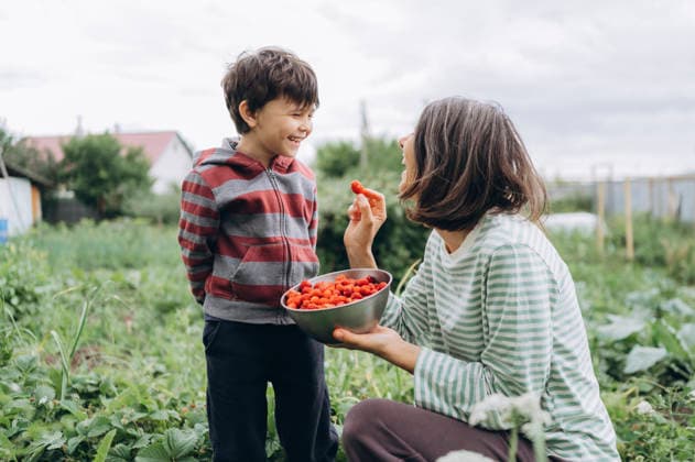 Mother and son eat a strawberry in the garden model released, Symbolfoto, ANAF06589