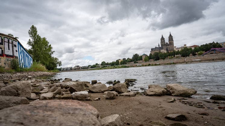 Deutlich niedriger Wasserstand in der Elbe im August 2026 - mit Magdeburger Dom;Niedrigwasser der Elbe in Magdeburg im Sommer 2026, Magdeburg Sachsen-Anhalt Deutschland Elbufer *** Significantly lower water level in the Elbe River in August 2026, with Magdeburg Cathedral in the background; low water level of the Elbe River in Magdeburg in the summer of 2026, Magdeburg, Saxony-Anhalt, Germany, banks of the Elbe River