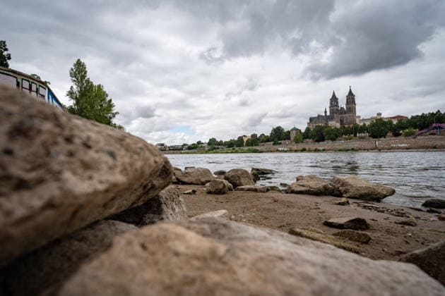 Deutlich niedriger Wasserstand in der Elbe im August 2026 - mit Magdeburger Dom;Niedrigwasser der Elbe in Magdeburg im Sommer 2026, Magdeburg Sachsen-Anhalt Deutschland Elbufer *** Significantly lower water level in the Elbe River in August 2026, with Magdeburg Cathedral in the background; low water level of the Elbe River in Magdeburg in the summer of 2026, Magdeburg, Saxony-Anhalt, Germany, banks of the Elbe River
