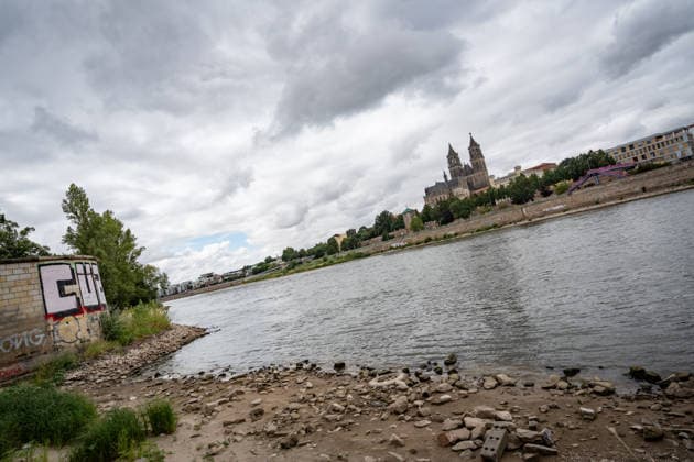 Deutlich niedriger Wasserstand in der Elbe im August 2026 - mit Magdeburger Dom;Niedrigwasser der Elbe in Magdeburg im Sommer 2026, Magdeburg Sachsen-Anhalt Deutschland Elbufer *** Significantly lower water level in the Elbe in August 2026, with Magdeburg Cathedral; low water level of the Elbe in Magdeburg in the summer of 2026, Magdeburg, Saxony-Anhalt, Germany, banks of the Elbe