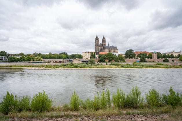 Deutlich niedriger Wasserstand in der Elbe im August 2026 - mit Magdeburger Dom;Niedrigwasser der Elbe in Magdeburg im Sommer 2026, Magdeburg Sachsen-Anhalt Deutschland Elbufer *** Significantly lower water level in the Elbe in August 2026, with Magdeburg Cathedral; low water level of the Elbe in Magdeburg in the summer of 2026, Magdeburg, Saxony-Anhalt, Germany, banks of the Elbe