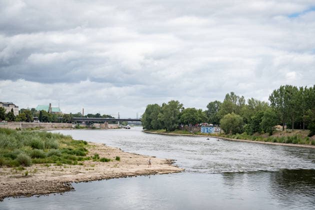 Deutlich niedriger Wasserstand in der Elbe im August 2026;Niedrigwasser der Elbe in Magdeburg im Sommer 2026, Magdeburg Sachsen-Anhalt Deutschland Elbufer *** Significantly lower water level in the Elbe in August 2026; Low water levels on the Elbe in Magdeburg in the summer of 2026, Magdeburg, Saxony-Anhalt, Germany, on the banks of the Elbe
