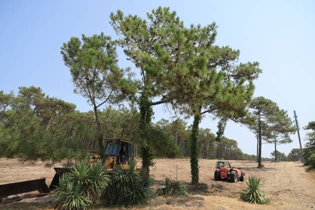 Saumos Fires, Gironde, Quentin Salinier, MAXPPP, July 29, 2026, Saumos Fires, Lège-Cap-Ferret: The firebreak at the tip—known as the Bartherotte firebreak—was constructed despite prohibitions against creating it in France, July 29, 2026 Saumos Fires Lège Cap Ferret The firebreak at the tip—known as the Bartherotte firebreak—was constructed by cutting down trees despite prohibitions against creating it Controversy  Copyright: xMAXPPPxQuentinxSalinierx 031A0085 QSA2026080791