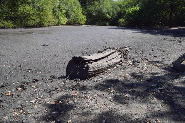 August 7, 2026, London, England, United Kingdom: A part of Hollow Pond in Leytonstone dries up as a drought persists in London and other parts of the UK. London United Kingdom  - ZUMAv130 20260807_zip_v130_011 Copyright: xVukxValcicx