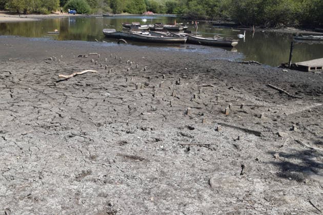 August 7, 2026, London, England, United Kingdom: A part of Hollow Pond in Leytonstone dries up as a drought persists in London and other parts of the UK. London United Kingdom  - ZUMAv130 20260807_zip_v130_012 Copyright: xVukxValcicx