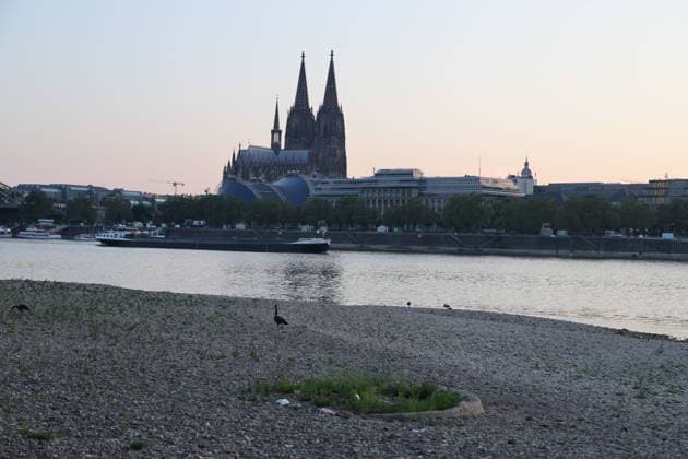 RECORD DATE NOT STATED Koeln GER, Natur, Klima, Sommer, Trockenheit, Rhein, Niedrigwasser, Koeln, Nordrhein-Westfalen, Deutschland, 06.08.2026 Der Pegelstand des Rheins in Koeln ist bedenklich niedrig und laesst die Schifffahrt nur eingeschraenkt zu GER, Natur, Klima, Sommer, Trockenheit, Rhein, Niedrigwasser, Koeln, Nordrhein-Westfalen, Deutschland, 06.08.2026 *** Cologne, Germany, Nature, Climate, Summer, Drought, Rhine, Low Water Levels, Cologne, North Rhine-Westphalia, Germany, August 6, 2026 The water level of the Rhine in Cologne is alarmingly low, allowing only limited navigation GER, Nature, Climate, Summer, Drought, Rhine, Low Water, Cologne, North Rhine-Westphalia, Germany, August 6, 2026 Copyright: xEibner-Pressefoto JuergenxAugstx EP_JAT